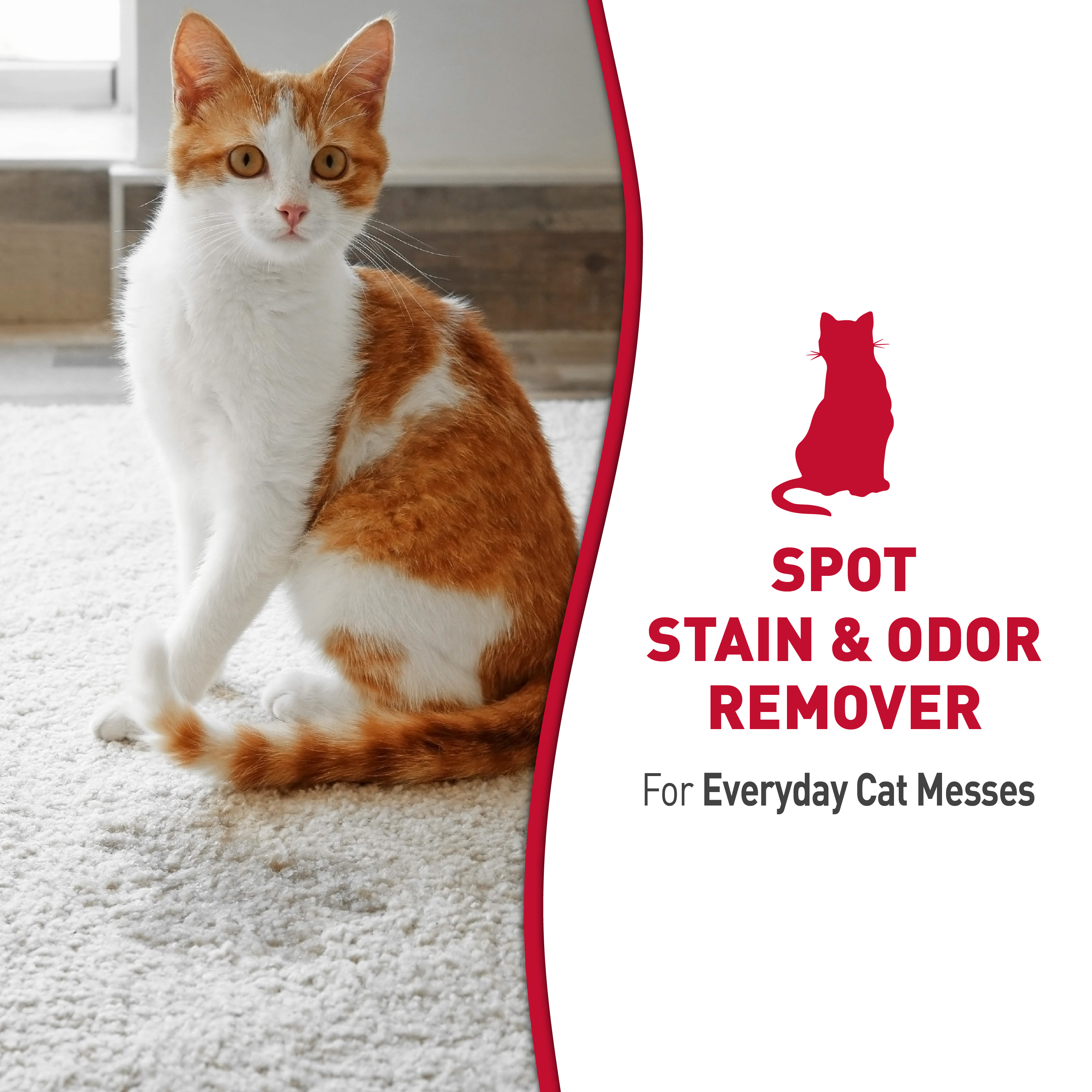 Stain & Odor Remover for Cats Nature's Miracle